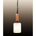 Odeon Light 2767/1