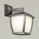 Odeon Light 4051/1W
