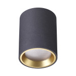 Odeon Light 4205/1C