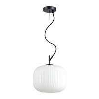 Odeon Light 4753/1