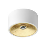 Odeon Light 3892/1C